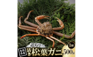 ＜先行予約＞鳥取県産 訳あり 活 松葉がに 500g×1杯(中村商店)2027年1月末より順次発送【1692919】