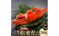 ＜先行予約＞鳥取県産 タグ付き 茹 松葉がに 500g×1杯(中村商店)2027年1月末より順次発送【1692929】