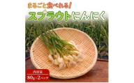 ＜9月中旬以降順次発送!＞まるごと!スプラウトにんにく(80g×2パック)　栄養満点スーパーフード【1735498】