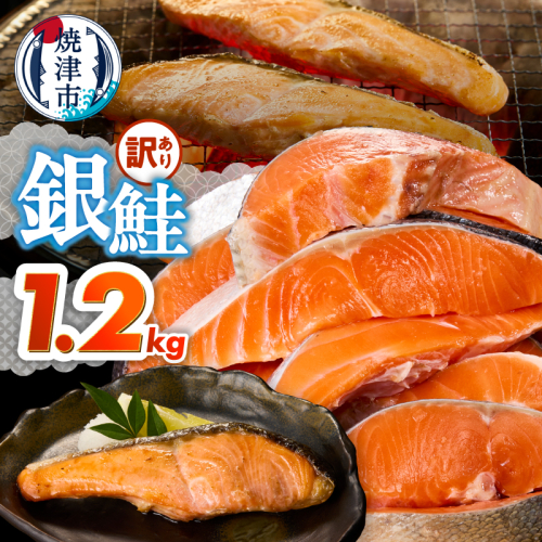 a10-1309　訳あり！ 銀鮭 切身 約1.2kg 便利なジッパーバック入り 2660662 - 静岡県焼津市