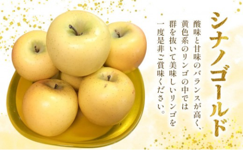 長野市産 シナノゴールド 3kg(7玉～12玉入り) りんご 信濃の味【2026年10月下旬頃より発送予定】 | りんご  シナノゴールド 約3kg 人気 おすすめ フルーツ 果物 リンゴ 林檎 長野県 長野市 信州 信濃 ふるさと納税 2660666 - 長野県長野市