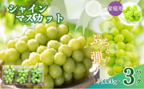 【訳あり】長野市産 シャインマスカット 約1.0kg（ご家庭用）【2026年9月下旬以降出荷予定】わけあり 長野 | ぶどう 訳あり 農家応援 シャインマスカット 約1kg 人気 おすすめ フルーツ 果物 葡萄 ブドウ 種なし 皮ごと 旬 長野県 長野市 信州 信濃 ふるさと納税 2660668 - 長野県長野市