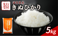 [令和8年産] 先行予約 新米 きぬひかり 5kg 令和8年産 米 精米 こめ コメ お米 ご飯 米 キヌヒカリ 5キロ 令和8年 滋賀 彦根 [近江米]
