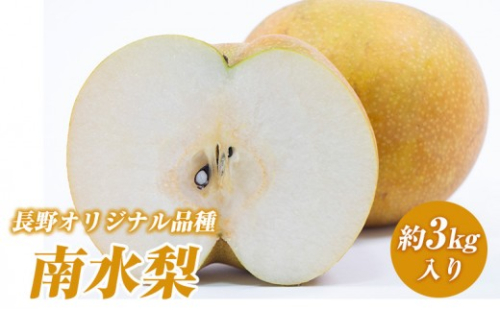 南水梨(約3kg:6玉～12玉)【2026年9月中旬以降発送予定】(さらしな青果)果物 くだもの フルーツ 旬 梨 なし ナシ 長野県 家庭用 訳あり |  梨 南水梨 オリジナル 長野県産 人気 おすすめ なし ナシ フルーツ 果物 ジューシー シャキシャキ 訳あり 家庭用 長野県 長野市 信州 信濃 ふるさと納税 2660754 - 長野県長野市