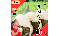 令和7年度産 元気つくし 10kg ブランド米 米 白米 国産 食味 白飯 ご飯 もちもち 特A評価 ひのひかり こめ お米 okome kome おむすび おにぎり弁当 美味しい 朝食 取り寄せ 魚 肉 の おかず にあう 福岡県 柳川市 宝物産