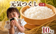 【 令和8年度産 先行受付 】 元気つくし 10kg ブランド米 米 白米 国産 食味 白飯 ご飯 もちもち 特A評価 ひのひかり こめ お米 okome kome おむすび おにぎり弁当 美味しい 朝食 取り寄せ 魚 肉 の おかず にあう 福岡県 柳川市 宝物産