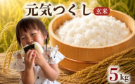 【 令和8年度産 先行受付 】 元気つくし 5kg ブランド米 米 玄米 国産 食味 白飯 ご飯 もちもち 特A評価 ひのひかり こめ お米 okome kome おむすび おにぎり弁当 美味しい 朝食 取り寄せ 魚 肉 の おかず にあう 福岡県 柳川市 宝物産