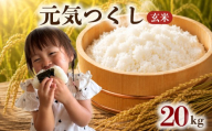 【 令和8年度産 先行受付 】 元気つくし 20kg ブランド米 米 玄米 国産 食味 白飯 ご飯 もちもち 特A評価 ひのひかり こめ お米 okome kome おむすび おにぎり弁当 美味しい 朝食 取り寄せ 魚 肉 の おかず にあう 福岡県 柳川市 宝物産