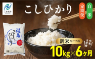 《新米先行予約》【毎月届く】令和8年産 福島県産こしひかり 白米 定期便 10kg 6回 株式会社あだたら米 二本松市