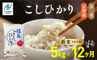《新米先行予約》【毎月届く】令和8年産 福島県産こしひかり 玄米 定期便 5kg 12回 株式会社あだたら米 二本松市