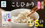 《新米先行予約》【令和8年産】福島県産こしひかり 玄米 5kg 株式会社あだたら米 二本松市