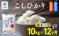 《新米先行予約》【毎月届く】令和8年産 福島県産こしひかり 無洗米 定期便 10kg 12回 株式会社あだたら米 二本松市