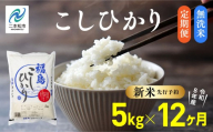 《新米先行予約》【毎月届く】令和8年産 福島県産こしひかり 無洗米 定期便 5kg 12回 株式会社あだたら米 二本松市