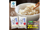 《新米先行予約》令和8年産 新米 食べ比べ セット 20kg 精米 玄米 こしひかり（各10kg）株式会社あだたら米 二本松市