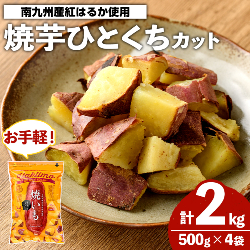 南九州産紅はるか使用！焼芋ひとくちカット(計2kg) 国産 さつまいも 芋 サツマイモ さつま芋 焼芋 焼き芋 やきいも 一口カット 一口サイズ お手軽 お菓子 スイーツ おやつ 【海連】akn016-22 2661116 - 鹿児島県阿久根市