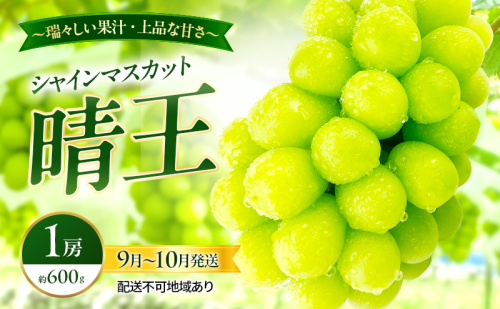 ぶどう 2026年 先行予約 シャインマスカット 晴王 1房 約600g 9月～10月発送 岡山県産 種無し 皮ごと食べる みずみずしい 甘い 瀬戸内 晴れの国 おかやま 果物大国 満天フルーツ 2661121 - 岡山県玉野市