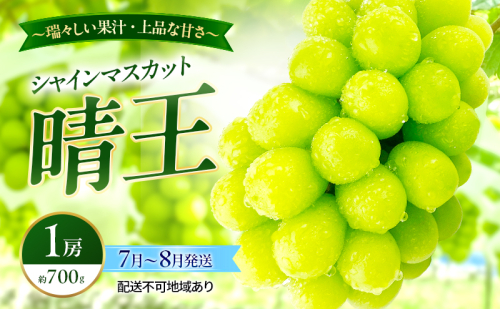 ぶどう 2026年 先行予約 シャインマスカット 晴王 1房 約700g 7月～8月発送 岡山県産 種無し 皮ごと食べる みずみずしい 甘い 温室栽培 晴れの国 おかやま 果物大国 満天フルーツ 2661126 - 岡山県玉野市