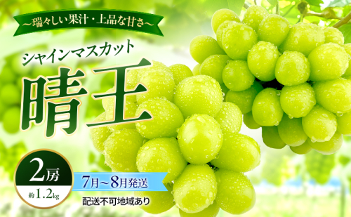 ぶどう 2026年 先行予約 シャインマスカット 晴王 2房 約1.2kg 7月～8月発送 岡山県産 種無し 皮ごと食べる みずみずしい 甘い 温室栽培 晴れの国 おかやま 果物大国 満天フルーツ 2661127 - 岡山県玉野市