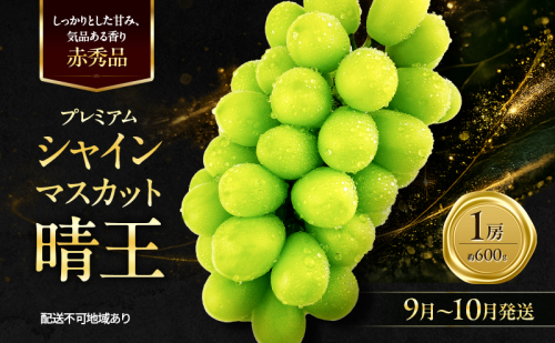 ぶどう 2026年 先行予約 赤秀ぶどう プレミアム シャインマスカット 晴王 1房 600g 9月～10月発送 船穂産 赤秀品 皮ごと食べる みずみずしい 糖度保証 岡山県産 満天フルーツ 2661129 - 岡山県玉野市