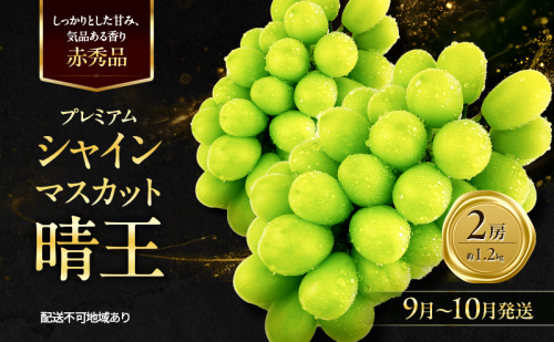 ぶどう 2026年 先行予約 赤秀ぶどう プレミアム シャインマスカット 晴王 2房 1.2kg 9月～10月発送 船穂産 赤秀品 皮ごと食べる みずみずしい 糖度保証 岡山県産 満天フルーツ 2661131 - 岡山県玉野市