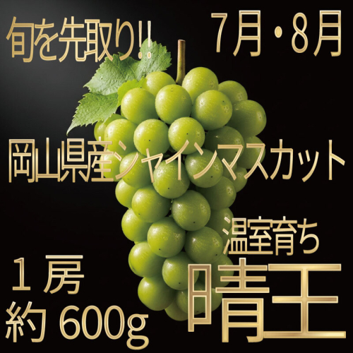 [HS]ぶどう先行予約7月・8月発送温室シャインマスカット晴王1約600g ブドウ 葡萄  岡山県産 国産 フルーツ 果物 ギフト デザート 食後 酸味が少ない 産地直送 2661135 - 岡山県玉野市