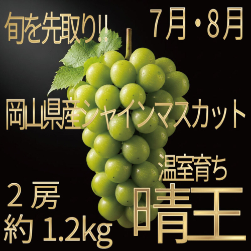 [HS]ぶどう先行予約7月・8月発送温室シャインマスカット晴王2房(合計約1.2kg) ブドウ 葡萄  岡山県産 国産 フルーツ 果物 ギフト デザート 食後 酸味が少ない 産地直送 2661137 - 岡山県玉野市