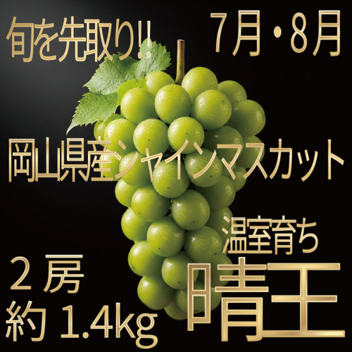[HS]ぶどう先行予約7月・8月発送温室シャインマスカット晴王2房(合計約1.4kg) ブドウ 葡萄  岡山県産 国産 フルーツ 果物 ギフト デザート 食後 酸味が少ない 産地直送 2661138 - 岡山県玉野市