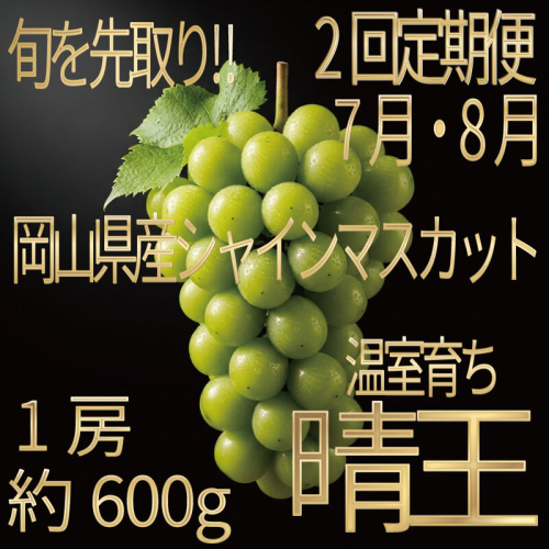 [HS]【定期便全2回】ぶどう先行予約7月・8月発送温室シャインマスカット晴王1房約600g ブドウ 葡萄  岡山県産 国産 フルーツ 果物 ギフト デザート 食後 酸味が少ない 産地直送 2661139 - 岡山県玉野市