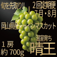 [HS]【定期便全2回】ぶどう先行予約7月・8月発送温室シャインマスカット晴王1房約700g ブドウ 葡萄  岡山県産 国産 フルーツ 果物 ギフト デザート 食後 酸味が少ない 産地直送