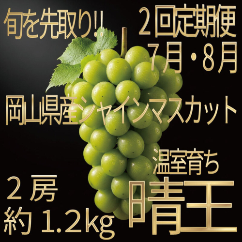 [HS]【定期便全2回】ぶどう先行予約7月・8月発送温室シャインマスカット晴王2房（合計約1.2kg）ブドウ 葡萄  岡山県産 国産 フルーツ 果物 ギフト デザート 食後 酸味が少ない 産地直送 2661141 - 岡山県玉野市