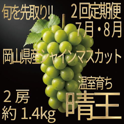 [HS]【定期便全2回】ぶどう先行予約7月・8月発送温室シャインマスカット晴王2房（合計約1.4kg）ブドウ 葡萄  岡山県産 国産 フルーツ 果物 ギフト デザート 食後 酸味が少ない 産地直送 2661142 - 岡山県玉野市