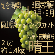[HS]【定期便全3回】ぶどう先行予約7月・8月・9月発送温室シャインマスカット晴王2房（合計約1.4kg）ブドウ 葡萄  岡山県産 国産 フルーツ 果物 ギフト デザート 食後 酸味が少ない 産地直送