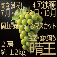 [HS]【定期便全4回】ぶどう先行予約7月・8月・9月・10月発送温室シャインマスカット晴王2房（合計約1.2kg）ブドウ 葡萄  岡山県産 国産 フルーツ 果物 ギフト デザート 食後 酸味が少ない 産地直送