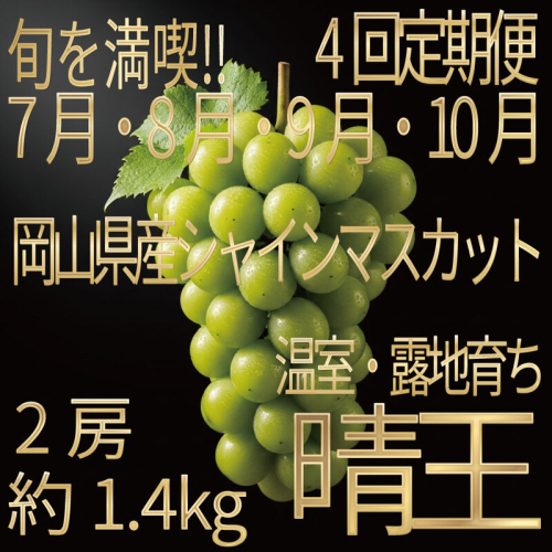[HS]【定期便全4回】ぶどう先行予約7月・8月・9月・10月発送温室シャインマスカット晴王2房（合計約1.4kg）ブドウ 葡萄  岡山県産 国産 フルーツ 果物 ギフト デザート 食後 酸味が少ない 産地直送 2661150 - 岡山県玉野市