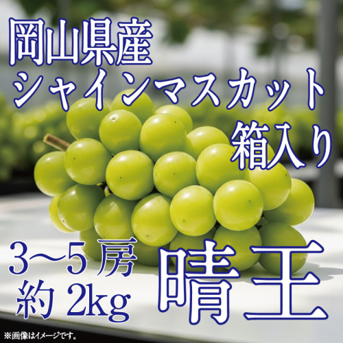 [HS]ぶどう先行予約9月・10月発送シャインマスカット晴王2kg箱（3～5房）ブドウ 葡萄  岡山県産 国産 フルーツ 果物 ギフト デザート 食後 酸味が少ない 産地直送 2661151 - 岡山県玉野市