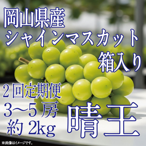 [HS]【定期便全2回】ぶどう先行予約9月・10月発送シャインマスカット晴王2kg箱（3～5房）ブドウ 葡萄  岡山県産 国産 フルーツ 果物 ギフト デザート 食後 酸味が少ない 産地直送 2661152 - 岡山県玉野市