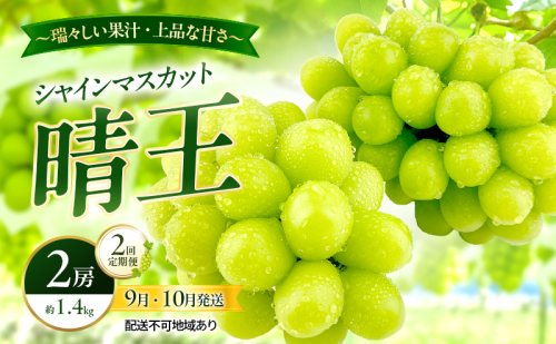 ぶどう 2026年 先行予約 定期便 シャインマスカット 晴王 2房 約1.4kg 9月・10月 2回発送 岡山県産 種無し 皮ごと食べる みずみずしい 甘い 瀬戸内 晴れの国 おかやま 果物大国 満天フルーツ 2661156 - 岡山県玉野市