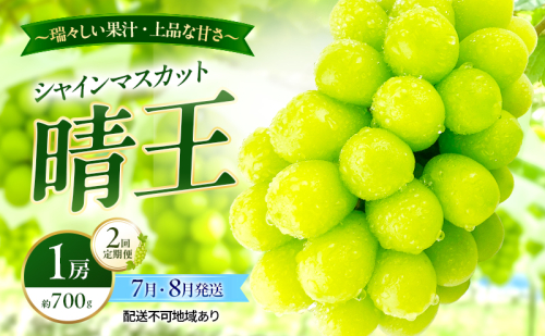 ぶどう 2026年 先行予約 定期便 シャインマスカット 晴王 1房 約700g 7月・８月 2回発送 岡山県産 種無し 皮ごと食べる みずみずしい 甘い 温室栽培 瀬戸内 晴れの国 おかやま 果物大国 満天フルーツ 2661158 - 岡山県玉野市