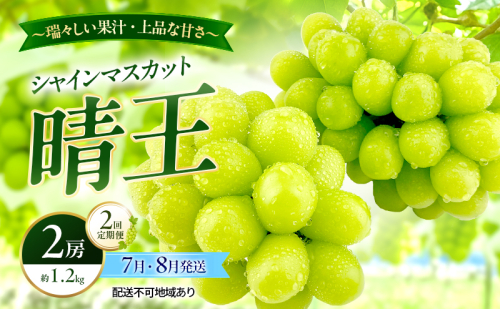 ぶどう 2026年 先行予約 定期便 シャインマスカット 晴王 2房 約1.2kg 7月・８月 2回発送 岡山県産 種無し 皮ごと食べる みずみずしい 甘い 温室栽培 瀬戸内 晴れの国 おかやま 果物大国 満天フルーツ 2661159 - 岡山県玉野市