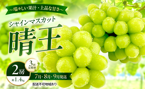 ぶどう 2026年 先行予約 定期便 シャインマスカット 晴王 2房 約1.4kg 7月・8月・9月 3回発送 岡山県産 種無し 皮ごと食べる みずみずしい 甘い 瀬戸内 晴れの国 おかやま 果物大国 満天フルーツ 2661164 - 岡山県玉野市