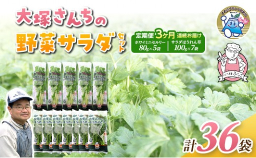 定期便 3回 ホワイトミニセルリー 5袋 ＆ サラダほうれん草 7袋 計36袋 野菜 詰め合わせ 毎月届く 3ヶ月 セロリ ほうれんそう 新鮮 産地直送 野菜セット 詰合せ 2661188 - 静岡県裾野市