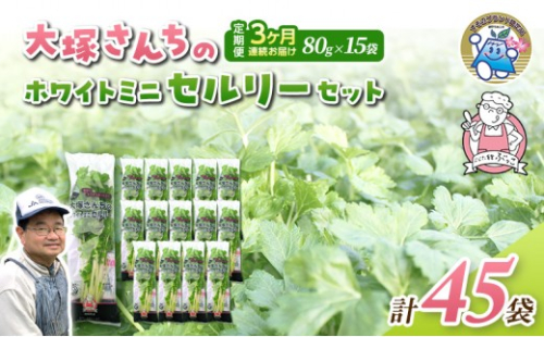 定期便 3回 ホワイトミニセルリー 15袋  計45袋 野菜 詰め合わせ 毎月届く 3ヶ月 セロリ ミニセロリ 新鮮 産地直送 サラダ 野菜セット 詰合せ 2661189 - 静岡県裾野市