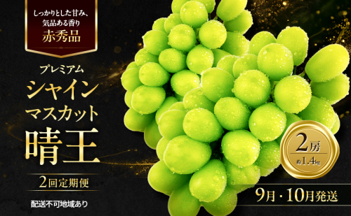 ぶどう 2026年 先行予約 定期便 赤秀ぶどう プレミアム シャインマスカット 晴王 2房 1.4kg 9月・10月 2回発送 船穂産 赤秀品 皮ごと食べる みずみずしい 岡山県産 満天フルーツ 2661200 - 岡山県玉野市