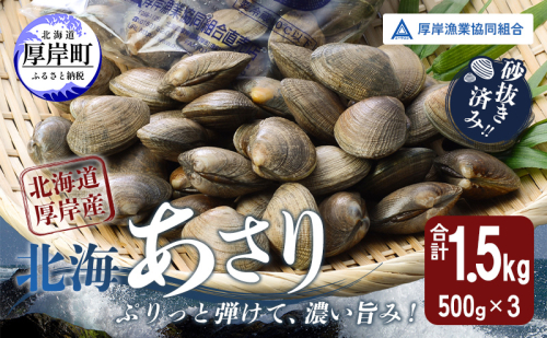 【4月～6月発送】あさり 北海道 厚岸産 北海あさり 1.5kg (500g×3パック) 砂出し済み アサリ 魚介 貝 海鮮 2661204 - 北海道厚岸町