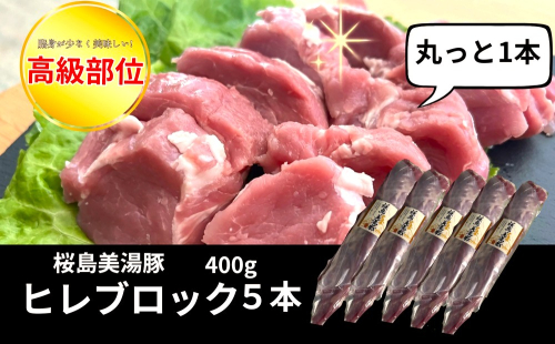 B2-0407／桜島美湯豚 ヒレ肉 5本 (計2kg以上) 2661334 - 鹿児島県垂水市