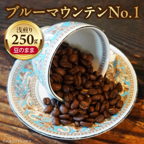 ブルーマウンテンＮｏ．１（豆のまま）［104T03］ 2661392 - 愛知県小牧市