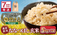 ◆ふるさとチョイス限定◆【8月配送】令和7年産　ななつぼし 玄米 5kg×1袋_05848