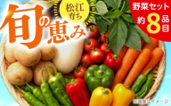 【旬の野菜セット】野菜 産地直送 詰め合わせ 栽培期間中農薬不使用 セット　島根県松江市/須山農園 [ALBD004]野菜 セット 産地直送 詰め合わせ 旬の野菜 旬野菜 野菜詰め合わせ 国産野菜 新鮮野菜 オーガニック野菜 食品 健康志向 ヘルシー 季節野菜