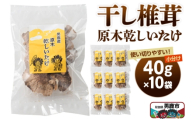 干し椎茸 原木乾しいたけ 40g×10袋 男鹿産 男鹿ゴルフクラブ [しいたけ 椎茸 シイタケ 乾物]
