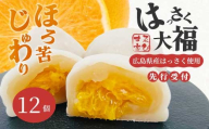 【先行受付】はっさく大福6個入×2箱 2026年11月頃～順次発送予定  ゑびす家 八朔 柑橘 求肥 スイーツ 和菓子 フルーツ 手土産 ギフト 021005
